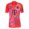 Oficiální Fotbalový Dres Brankářské FC Bayern Mnichov 2024-25 pro Muži